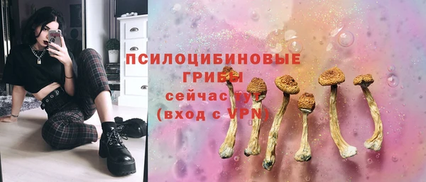 прущий лед Армянск