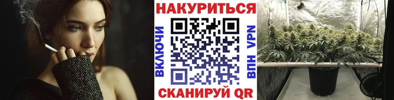 как найти наркотики  Полысаево  маркетплейс наркотические препараты  Марихуана Ganja 